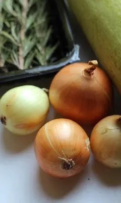 four loose brown onions